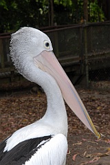 0800 Wildlife Habitat Port Douglas